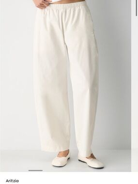 Aritzia Grinell Barrel Pants BNWT